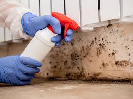 Best Mold Remediation for Healthcare Facilities  in Highlands, NC